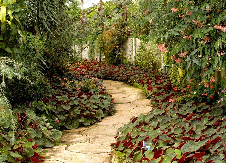 Garden Landscaping - Image 3